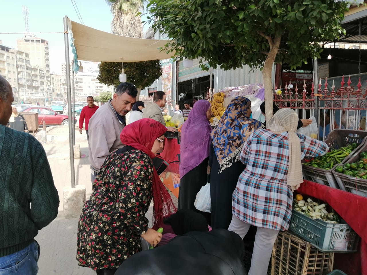 أسواق محافظة الغربية (5)