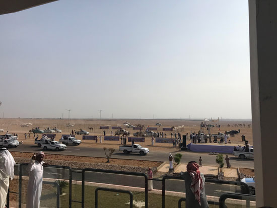 شرم الشيخ عاصمة لرياضة سباقات الهجن المصرية (13)