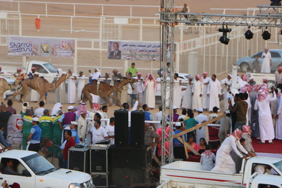 شرم الشيخ عاصمة لرياضة سباقات الهجن المصرية (14)