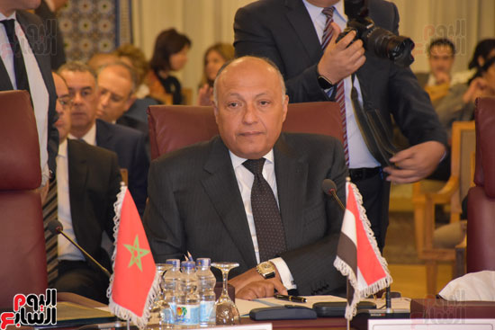 الاجتماع الطارئ لوزراء الخارجية العرب (3)