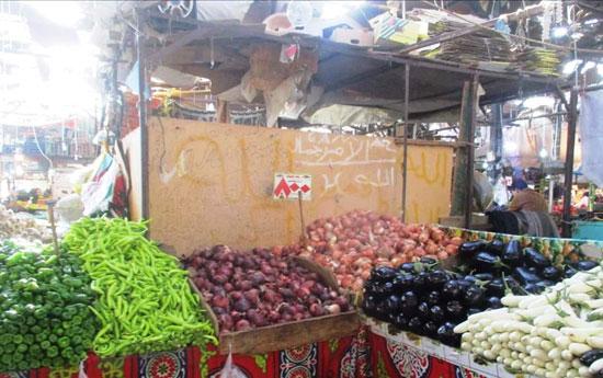 سوق خضار الدهار بمدينة الغردقة (3)