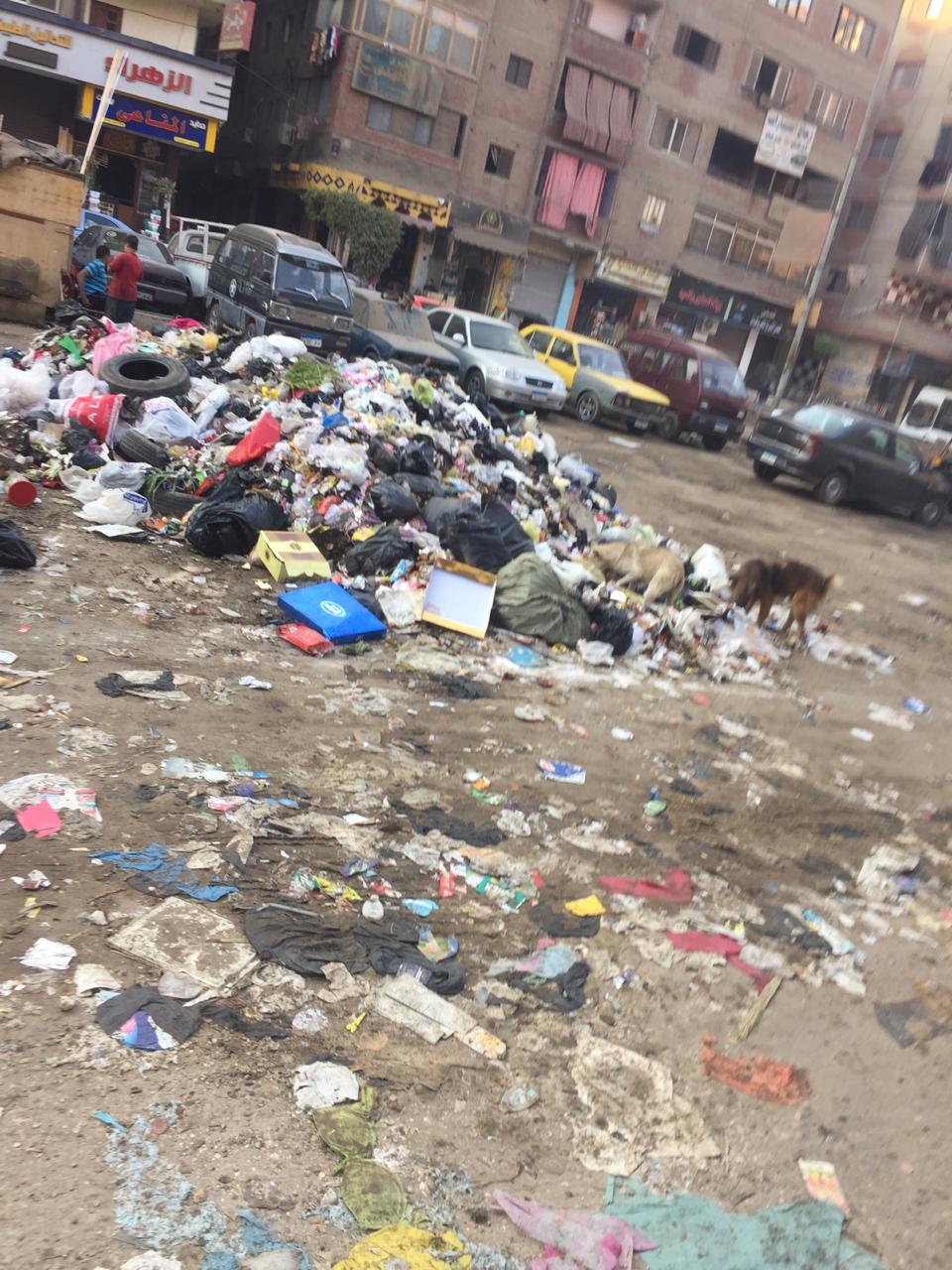  انتشار  القمامة والأغنام شارع احمد عرابي  (1)
