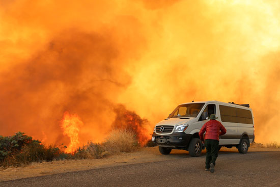 حريق هائل فى غابة لوس بادريس