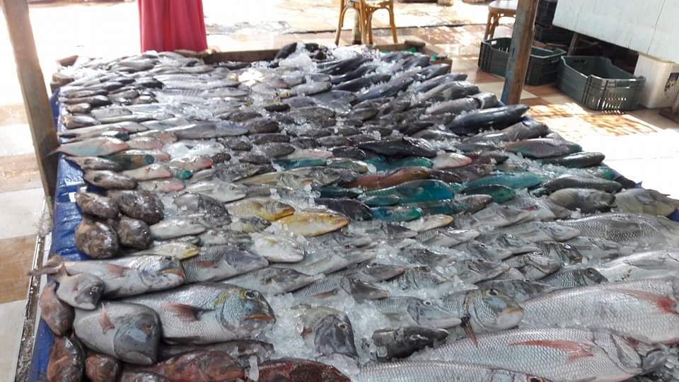 أسعار الأسماك بسوق البحر الأحمر (3)