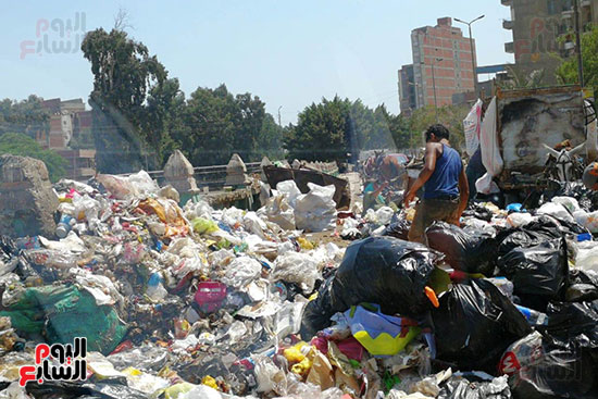 مشكلة القمامة وتراكمها بشوارع محافظة الغربية (12)