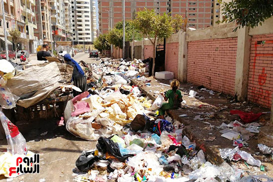 مشكلة القمامة وتراكمها بشوارع محافظة الغربية (4)