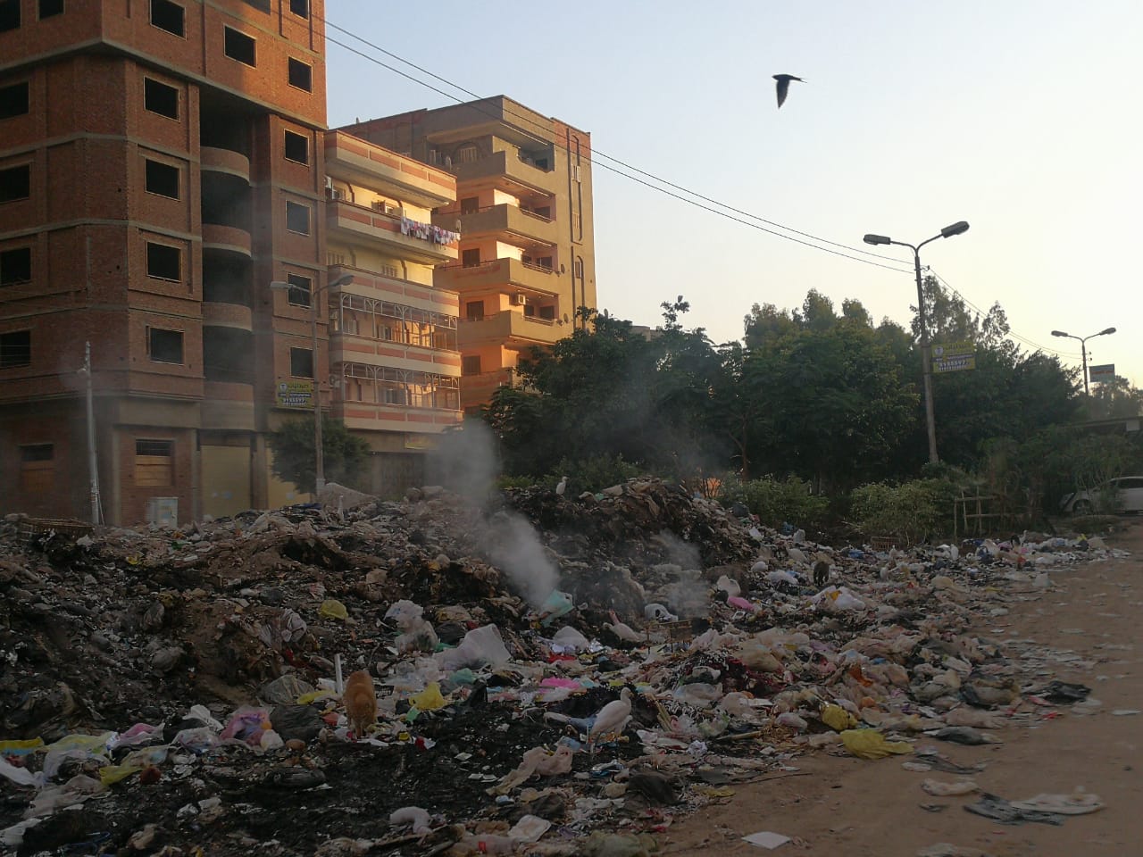حرق القمامة أمام شركة طنطا للزيوت والصابون (5)