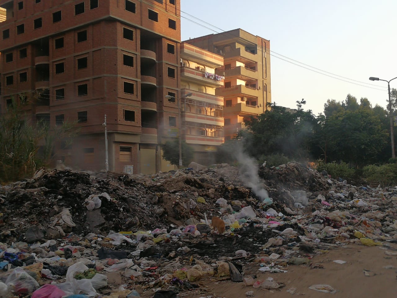 حرق القمامة أمام شركة طنطا للزيوت والصابون (2)