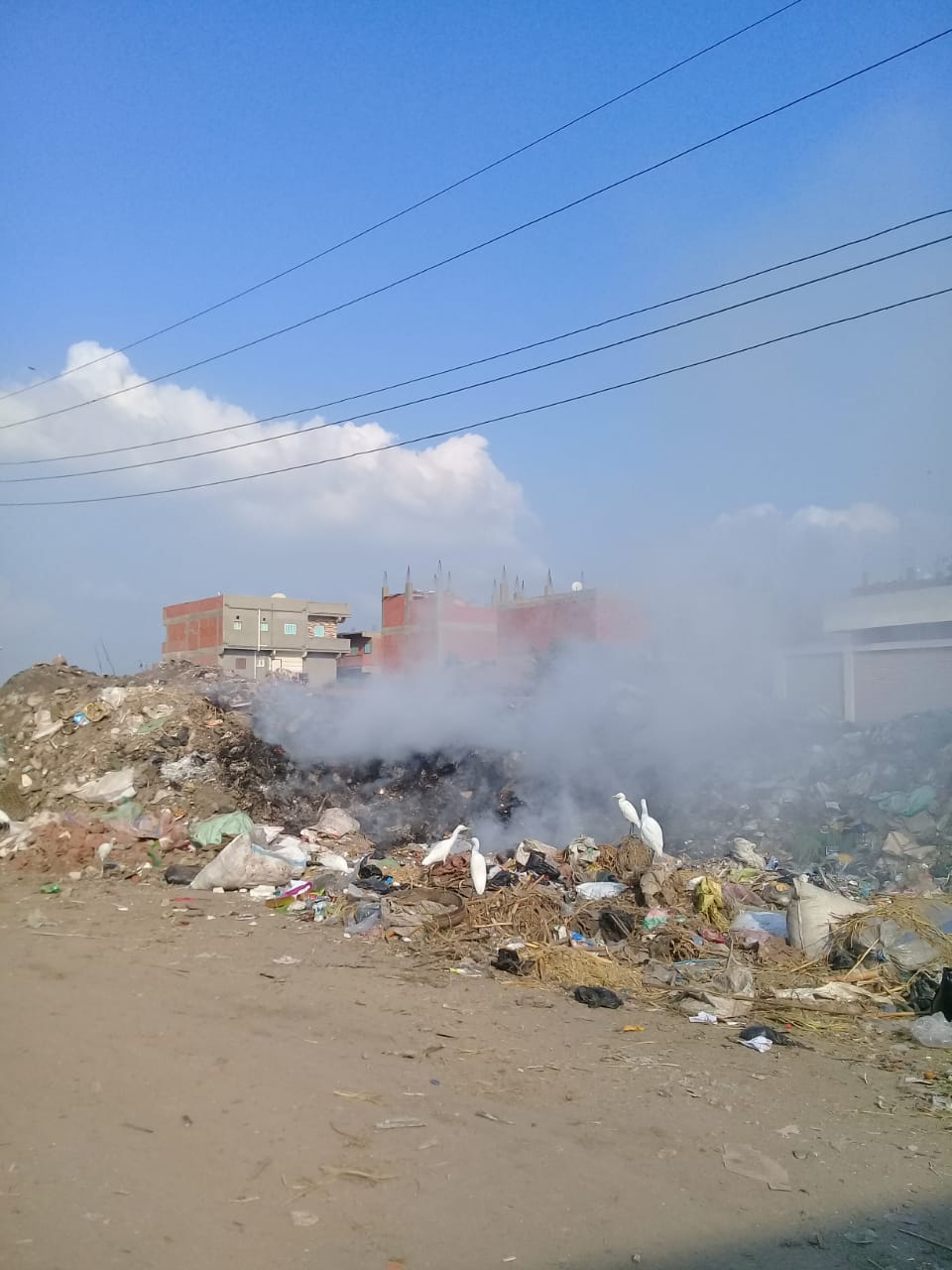  انتشار القمامة وحرقة بقرية دماص فى الدقهلية    (1)