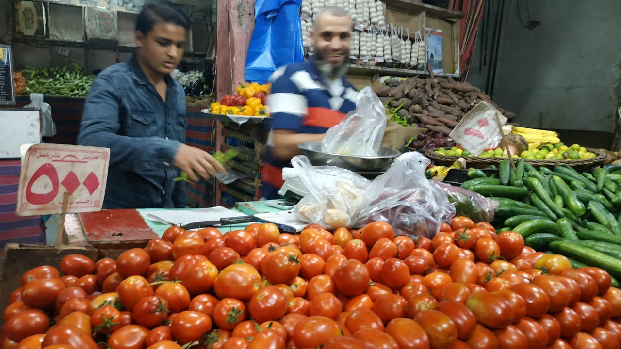 ثبات أسعار الخضروات والفاكهة بعد انخفاضها بأسواق مطروح (4)