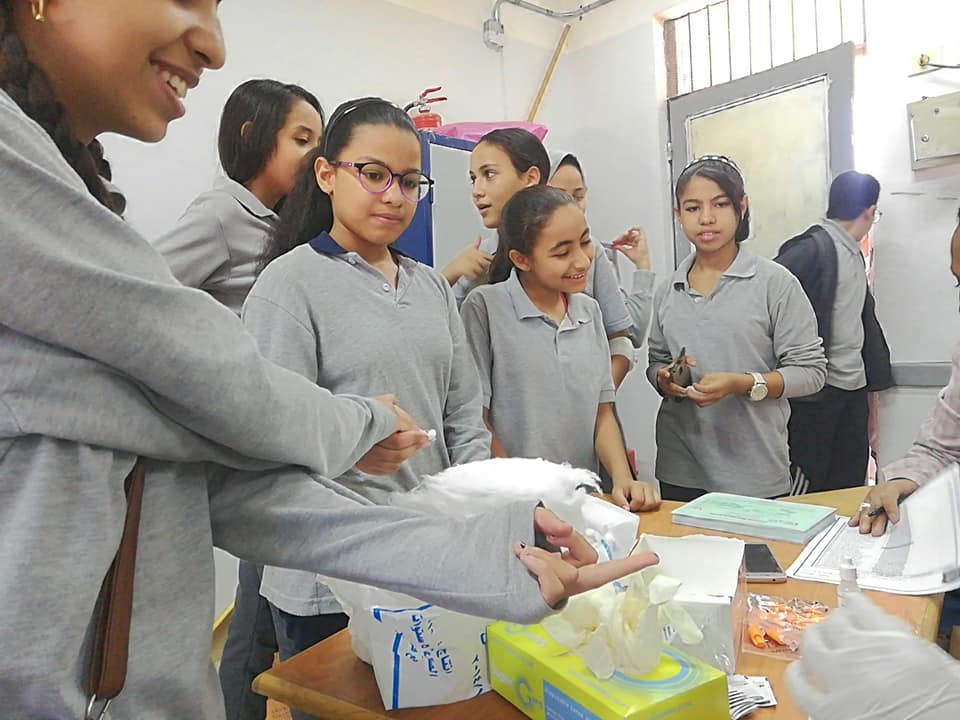 فريق حملة فيروس سي الأقصر يفحص طالبات مدرسة أبوبكر الرسمية للغات ضمن مبادرة الرئيس (1)