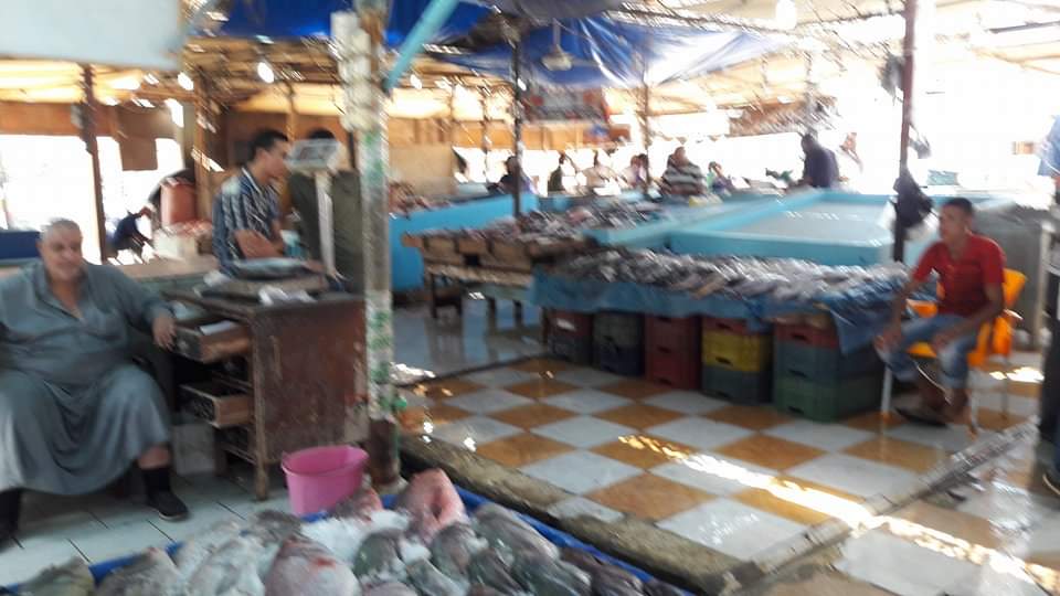 أسعار الأسماك بسوق سمك البحر الأحمر (5)