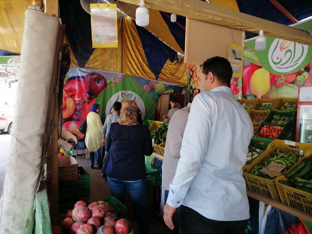 اسعار الخضراوات بمحافظة الغربية (5)