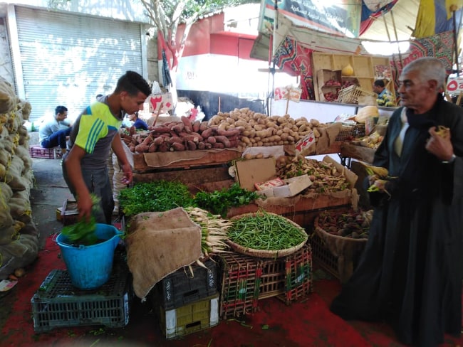 الخضر والفاكهة بأسواق سوهاج (1)