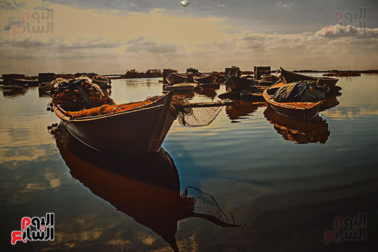 صالون النيل للتصوير الضوئى   (34)