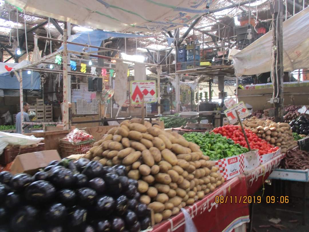 أسعار الخضروات والفاكهة  (6)