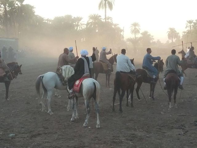 سباقات الخيول في قري محافظة الأقصر إحتفالات بالمولد النبوي الشريف (5)