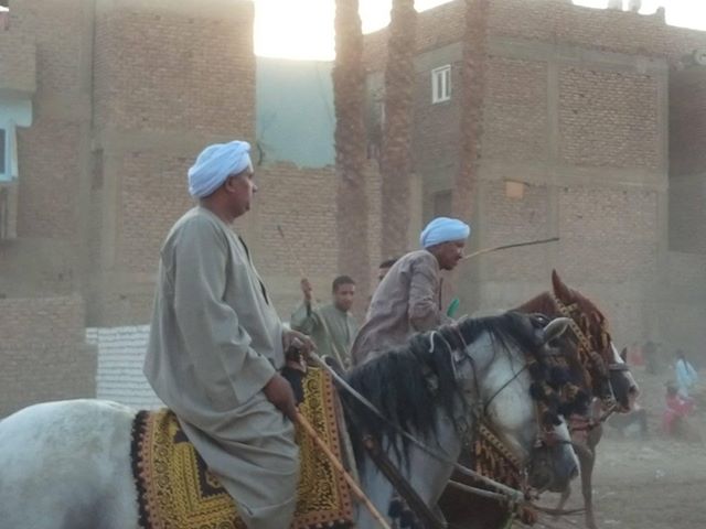 سباقات الخيول في قري محافظة الأقصر إحتفالات بالمولد النبوي الشريف (4)