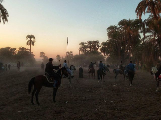 سباقات الخيول في قري محافظة الأقصر إحتفالات بالمولد النبوي الشريف (1)