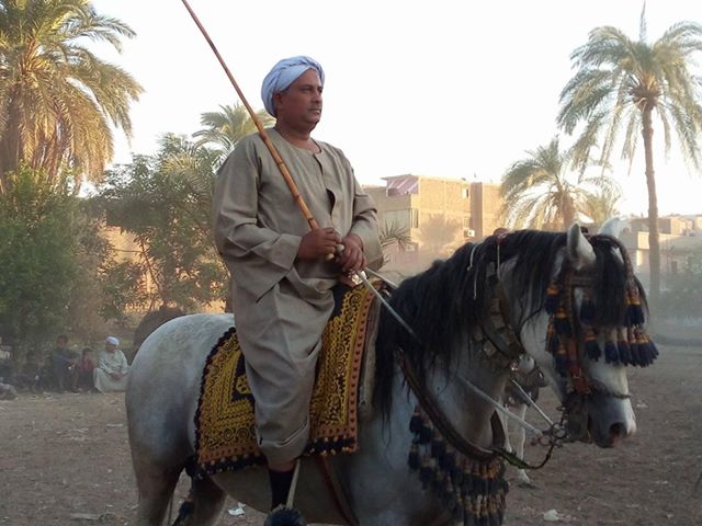 سباقات الخيول في قري محافظة الأقصر إحتفالات بالمولد النبوي الشريف (3)