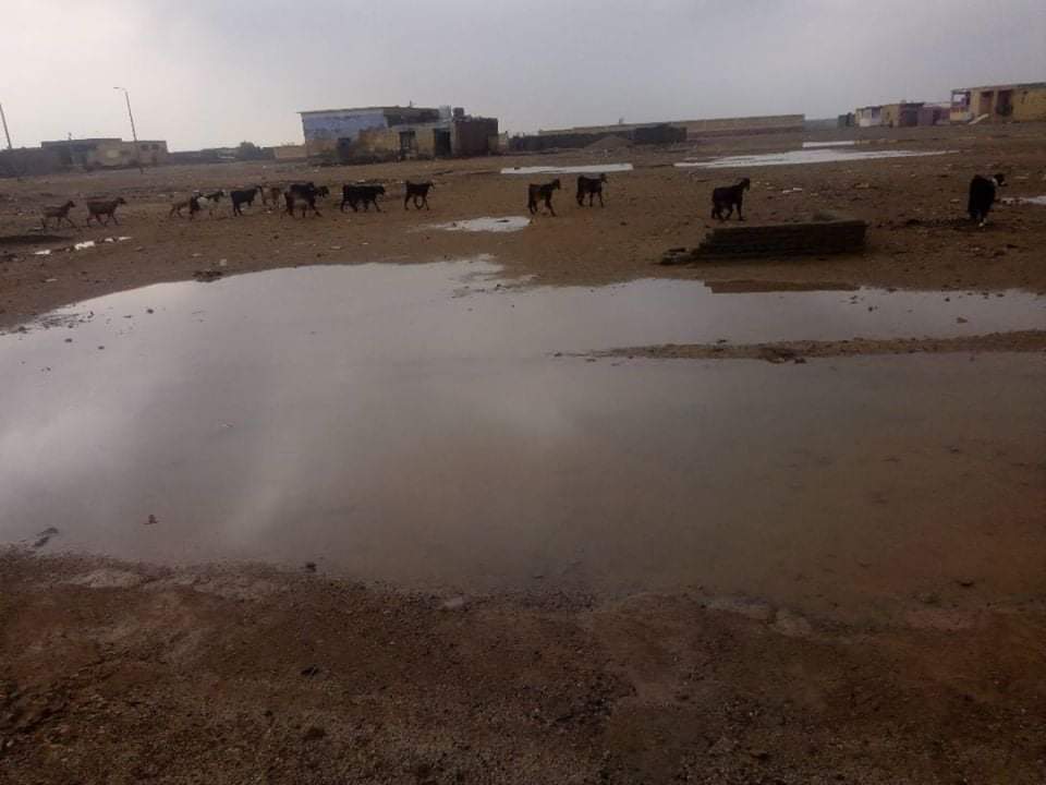أمطار غزيرة على مدينة الشلاتين  (4)