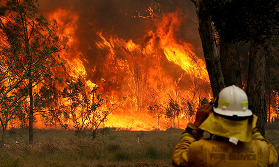 حرائق الغابات فى استراليا