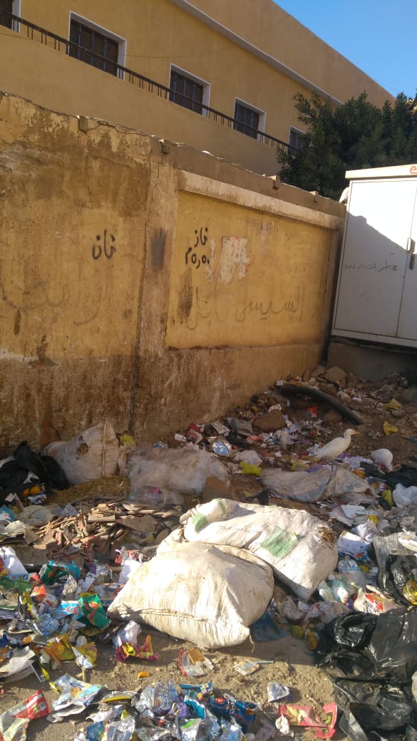 القمامة تحاصر قرية البتانون بالمنوفية  (11)