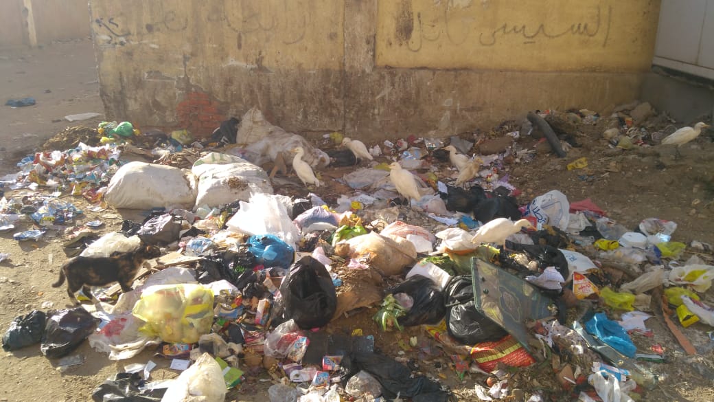 القمامة تحاصر قرية البتانون بالمنوفية  (3)