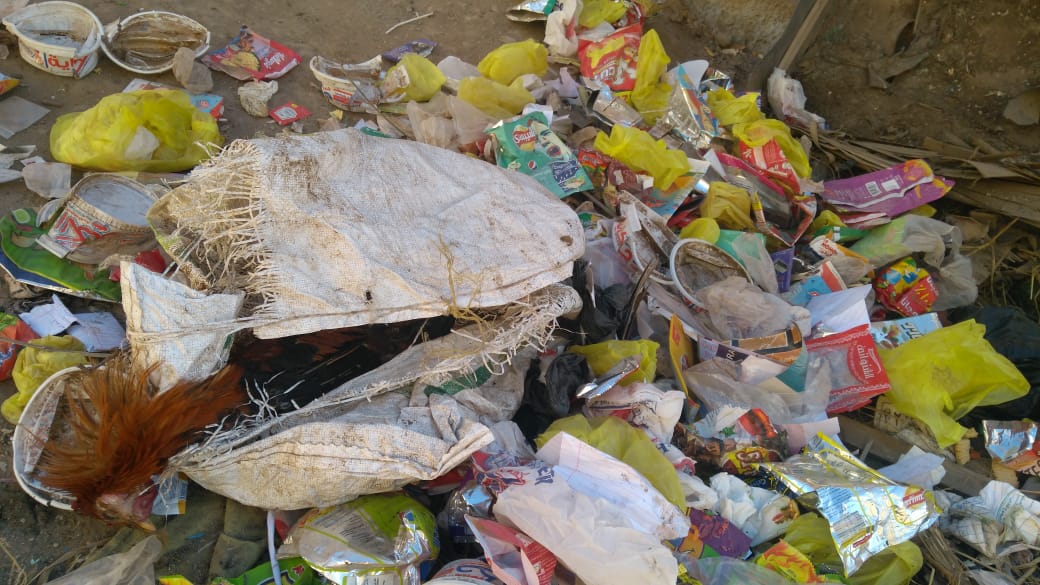 القمامة تحاصر قرية البتانون بالمنوفية  (6)
