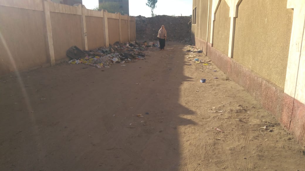القمامة تحاصر قرية البتانون بالمنوفية  (2)