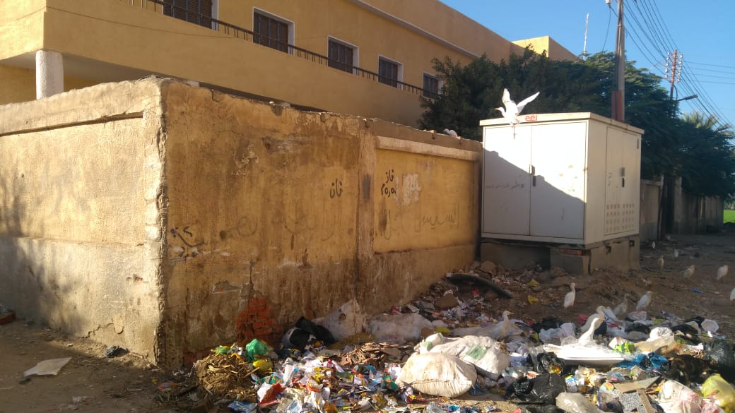 القمامة تحاصر قرية البتانون بالمنوفية  (8)
