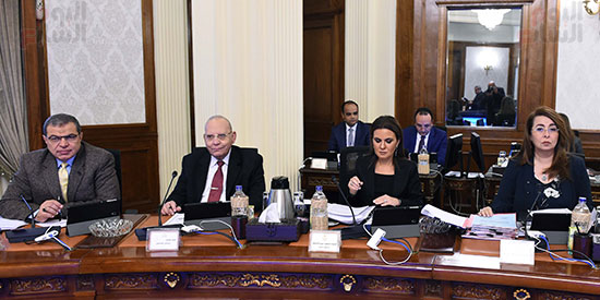 اجتماع مجلس الوزراء  (17)