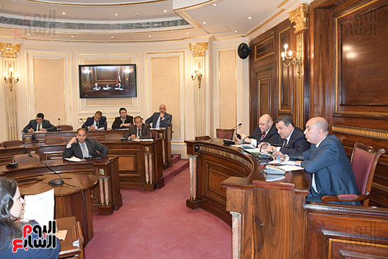 اجتماع لجنة الثقافة والأثار بمجلس النواب  (4)