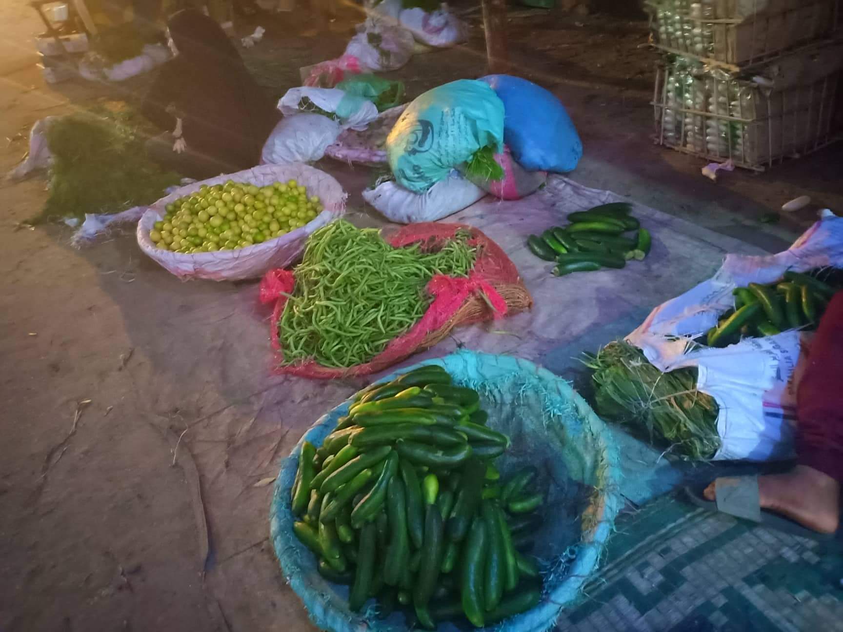 الخضروات بأسواق القليوبية بعد انخفاضها (3)