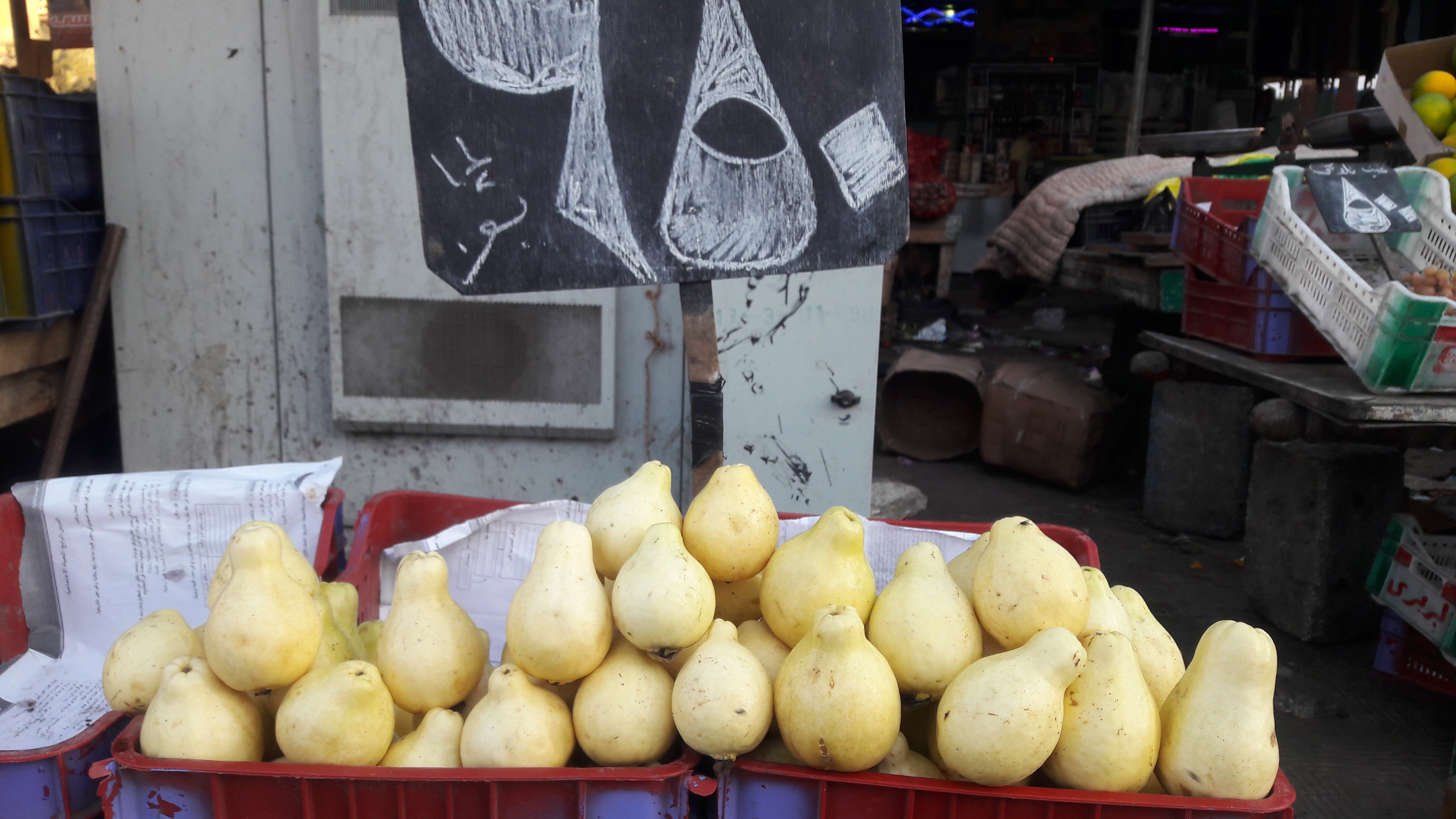 أسعار الخضروات والفواكه والأسماك ببورسعيد  (6)