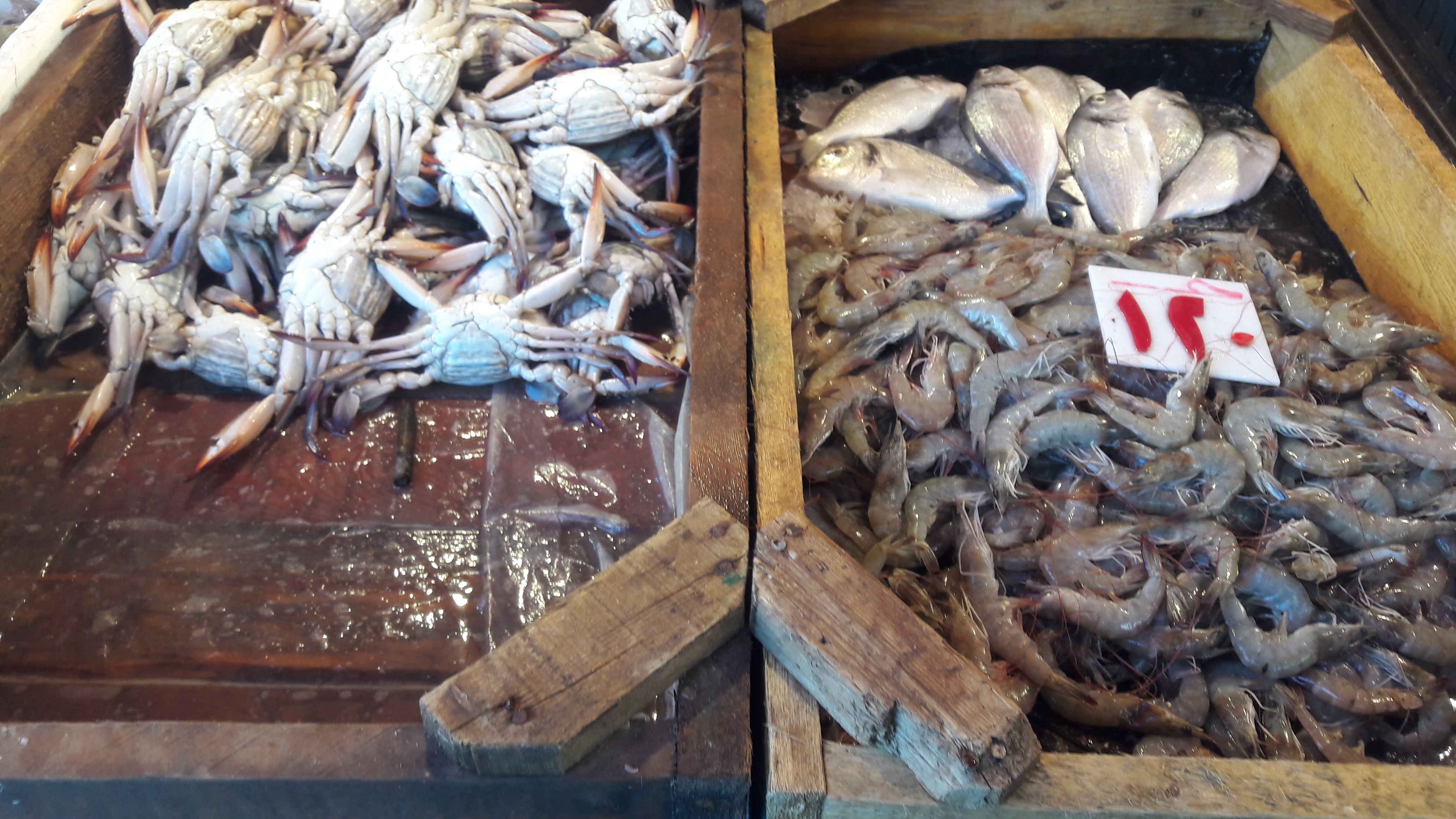 أسعار الخضروات والفواكه والأسماك ببورسعيد  (1)