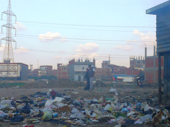 القمامة-تحاصر-شوارع-منشية-مبارك-بالمحلة-(6)