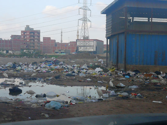 القمامة-تحاصر-شوارع-منشية-مبارك-بالمحلة-(2)