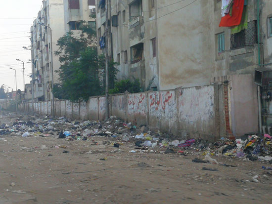 القمامة-تحاصر-شوارع-منشية-مبارك-بالمحلة-(7)