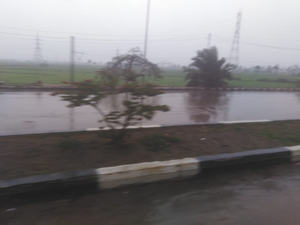 أمطار رعدية بمحافظة الدقهلية  (1)