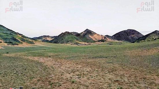 محمية جبل علبة تكتسى باللون الأخضر  (4)