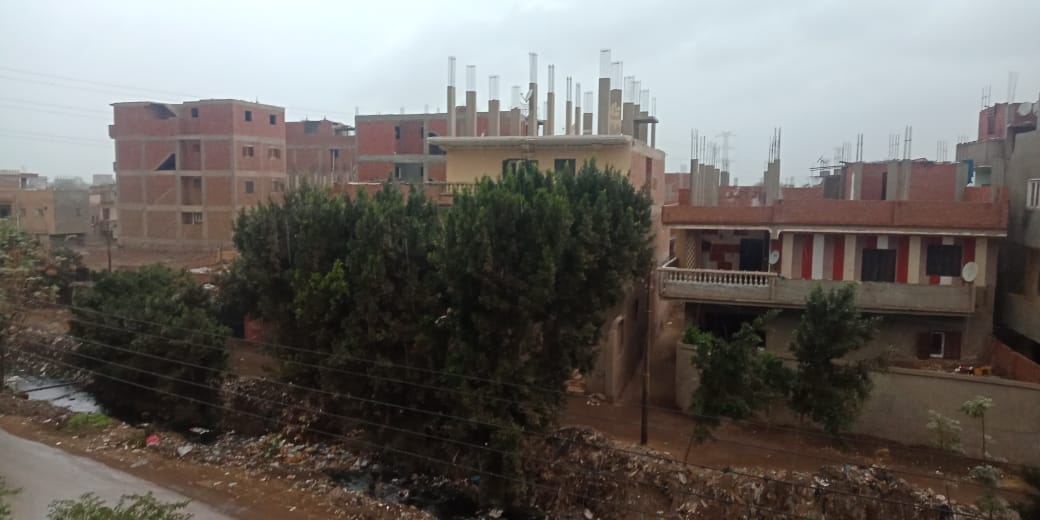 أمطار ورياح شديدة تضرب مدن محافظة القليوبية (4)