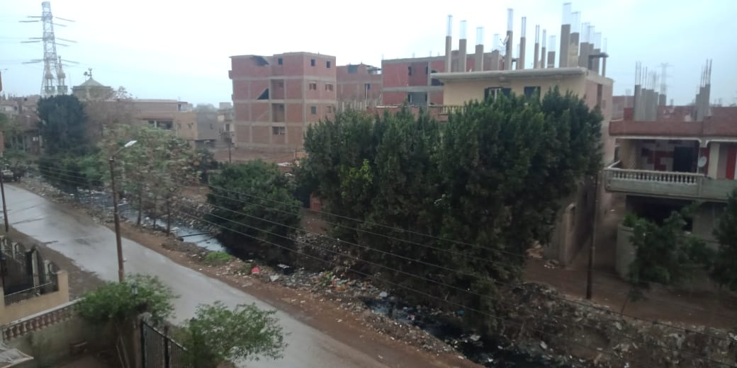 أمطار ورياح شديدة تضرب مدن محافظة القليوبية (6)
