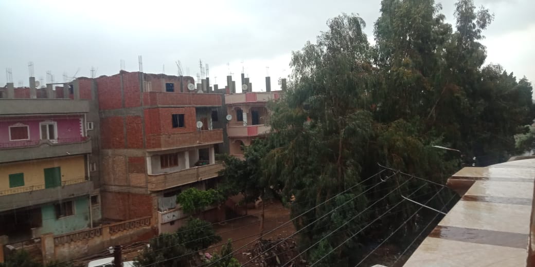 أمطار ورياح شديدة تضرب مدن محافظة القليوبية (2)