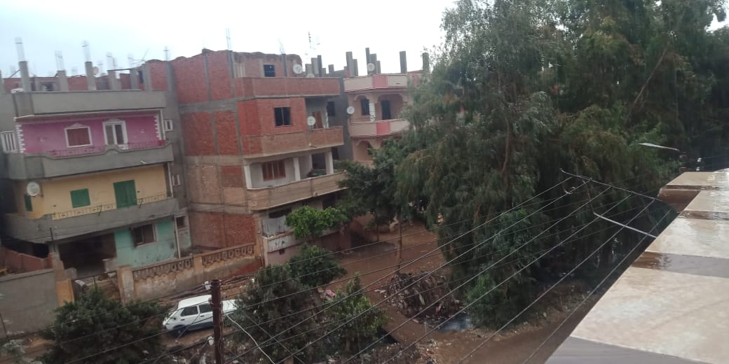 أمطار ورياح شديدة تضرب مدن محافظة القليوبية (1)