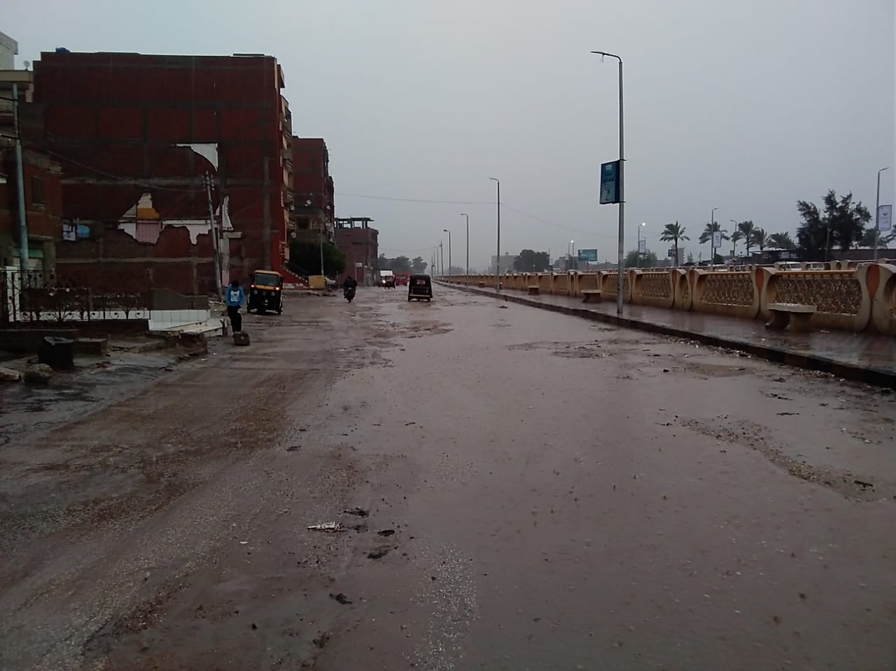 الأمطار بكفر الشيخ (4)