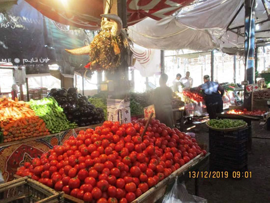 تعرف على أسعار الخضراوات اليوم بسوق الدهار فى الغردقة (3)