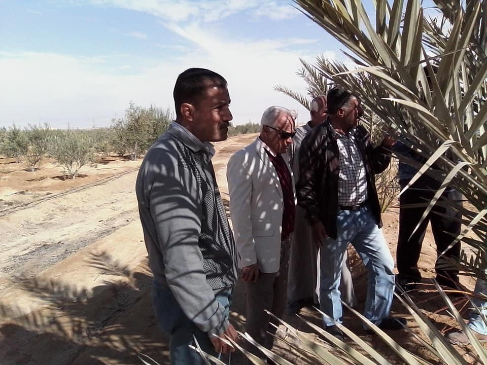 رئيس مدينة نخل يتفقد مزارع تجمع الرواق التنموى بشمال سيناء (1)