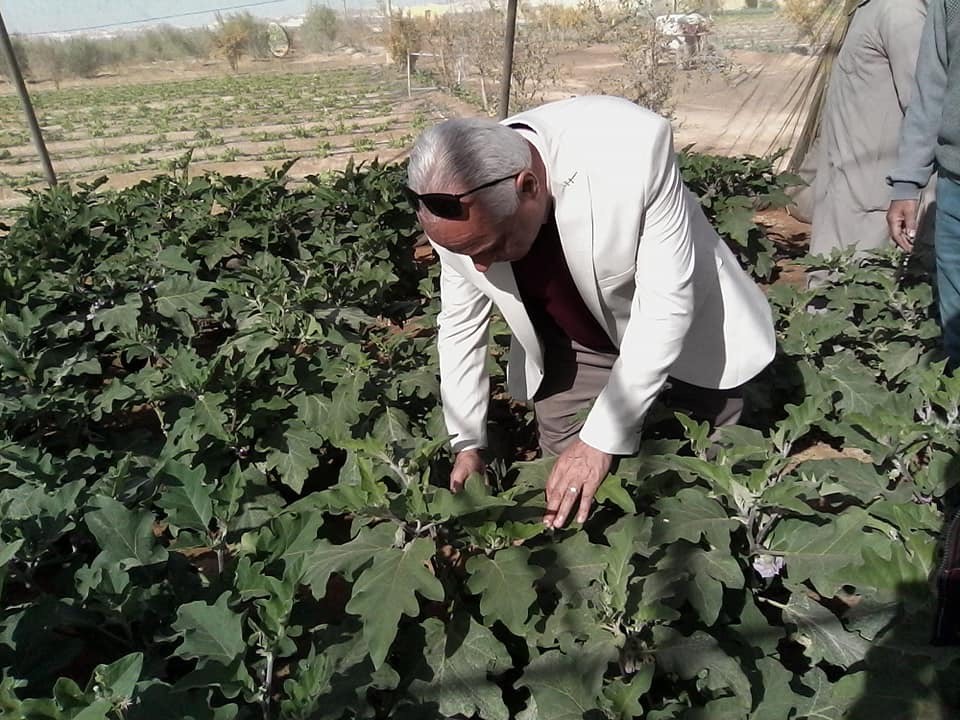 رئيس مدينة نخل يتفقد مزارع تجمع الرواق التنموى بشمال سيناء (3)