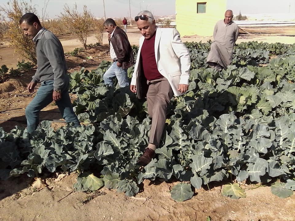 رئيس مدينة نخل يتفقد مزارع تجمع الرواق التنموى بشمال سيناء (4)